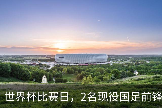 世界杯比赛日，2名现役国足前锋集体向C罗示“爱”